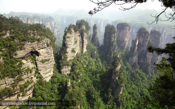 Мальовничі гори Китаю: Улін’юань або летючі гори. Фото: igorvinogradov.livejournal.com