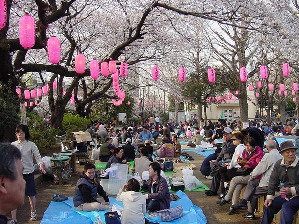Куда поехать отдыхать в марте: Токио празднует цветение сакуры. Фото: Worldfestivals.ru