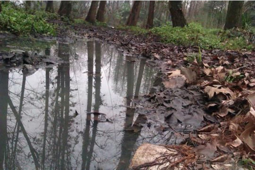 забрудення води китай річки