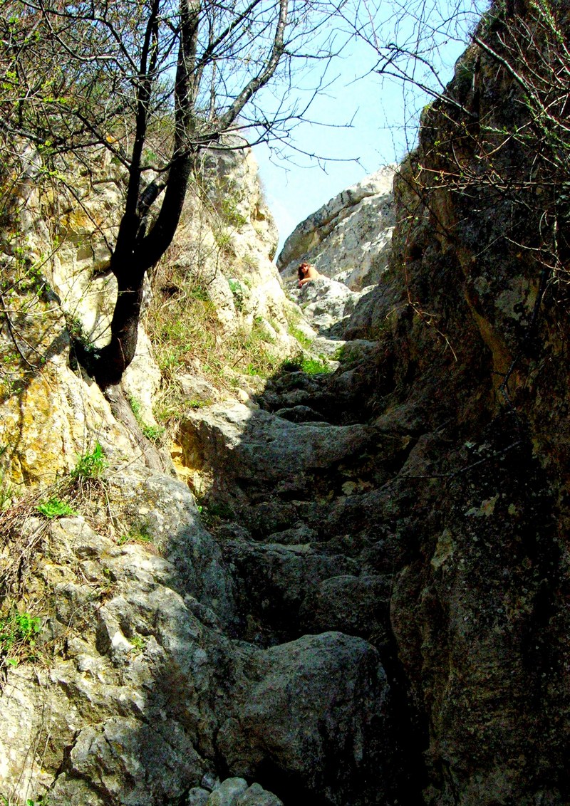 Древняя каменная лестница. Фото: Алла Лавриненко/Великая Эпоха