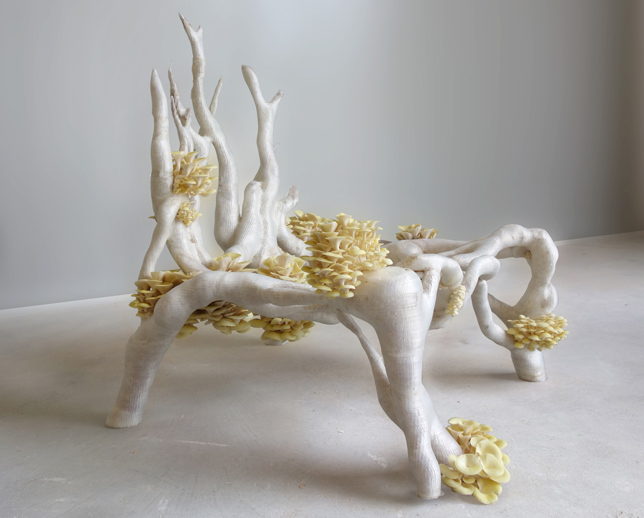 Eric-Klarenbeek_Chair_2_Dezeen-and-Mini-Frontiers_644.jpg