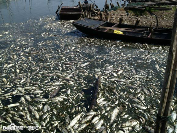 Проект перекидання вод «Південь—Північ» викликав масштабне забруднення озера Дунпін в провінції Шаньдун, ставши причиною загибелі риби. У свою чергу, місцеві жителі були позбавлені засобів до існування.