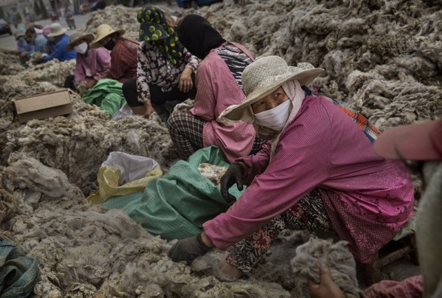 Китайские рабочие на заводе в Чжанчжоу подготавливают овечью шерсть перед её обработкой и отбеливанием. Эта шерсть будет использована в производстве обуви и одежды на экспорт, 12 июля 2014 года