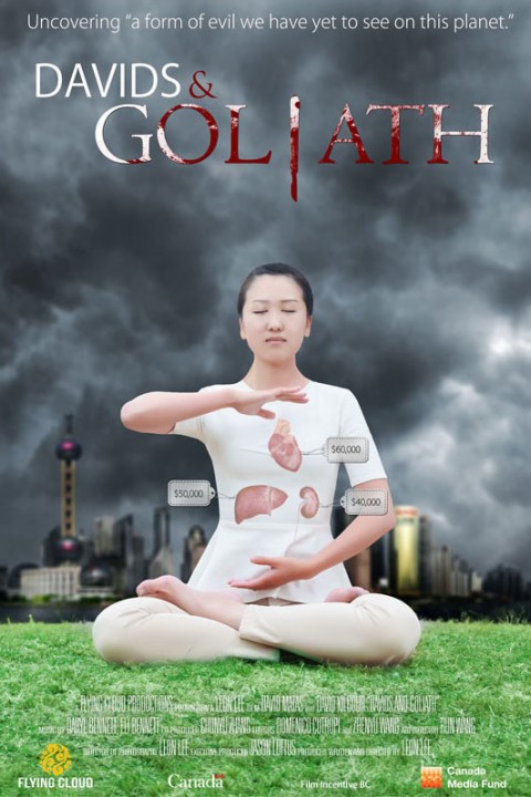 Плакат документального фильма «Давиды и Голиаф»