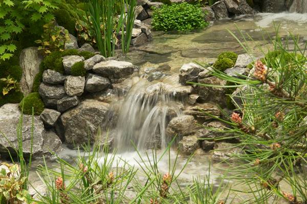 Фрагмент японского сада «Альков» на выставке цветов в Челси. Фото: rhschelsea/facebook.com