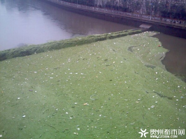 загрязнение воды китай